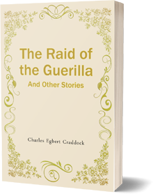 The Raid of the Guerilla and Other Stories